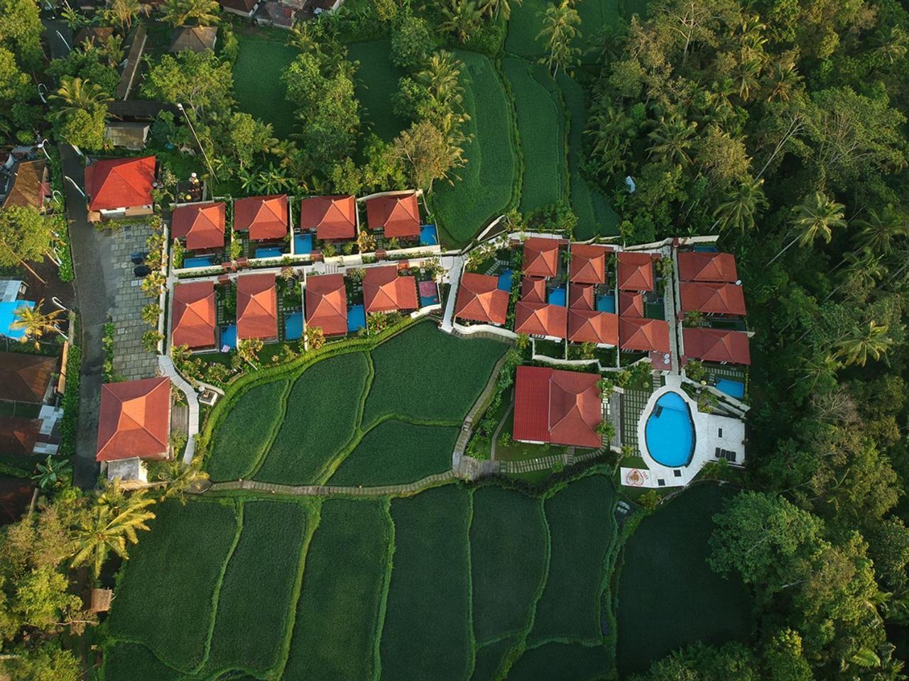 Vrindavan Ubud Villa Tegallalang  Exterior foto